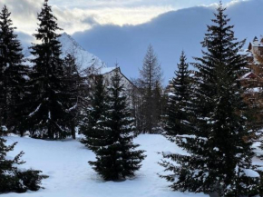Résidence Cote Brune 3 - Superbe studio rénové au pied des pistes MAE-5661